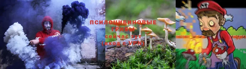 Галлюциногенные грибы Magic Shrooms  сколько стоит  Удомля 